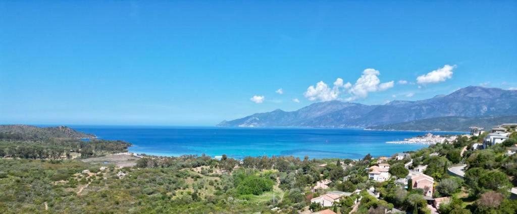 Studio, Vue Sur Mer Et Montagne Saint-Florent  Dış mekan fotoğraf