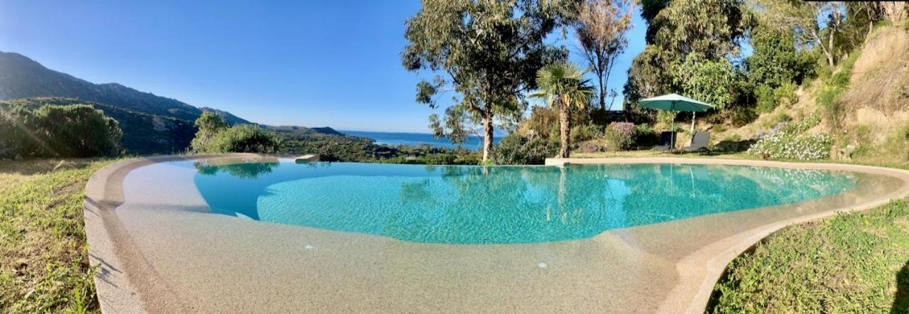 Studio, Vue Sur Mer Et Montagne Saint-Florent  Dış mekan fotoğraf