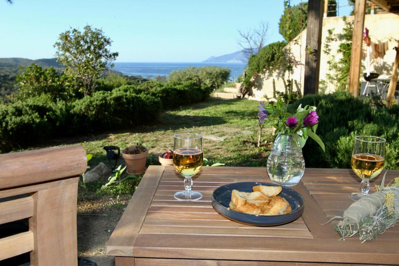 Studio, Vue Sur Mer Et Montagne Saint-Florent  Dış mekan fotoğraf