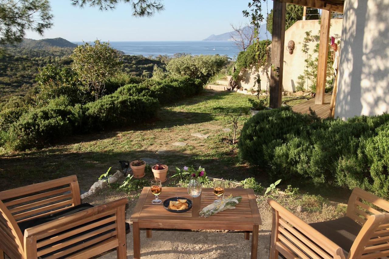 Studio, Vue Sur Mer Et Montagne Saint-Florent  Dış mekan fotoğraf